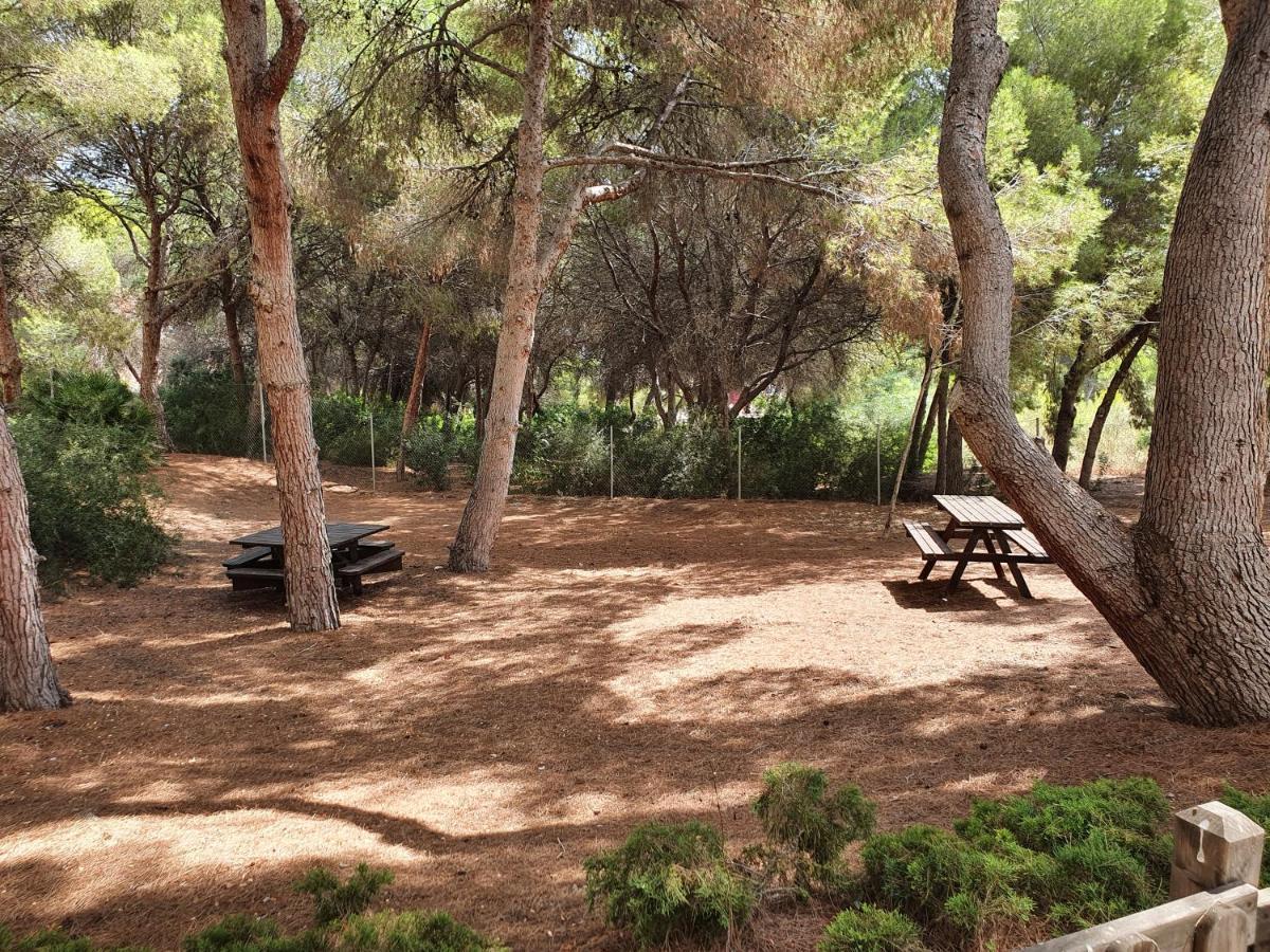 Apartment In Campoamor Overlooking The Swimming Pool Buitenkant foto